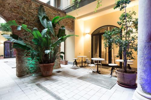 ทางเข้า, Agave in Città (Agave in Citta) in ลิวอร์โน