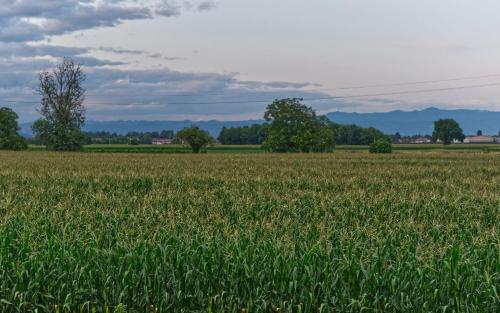 La Selce Farmhouse