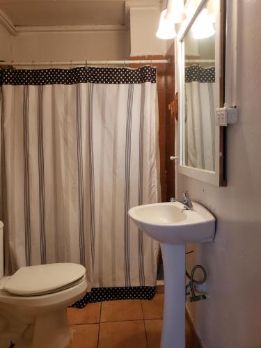 Casa Tripgogo - image 7