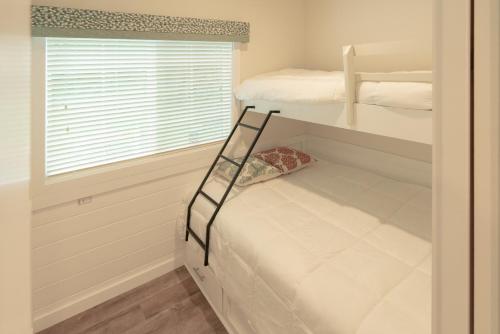 Hid'n Pines RV Resort - image 12