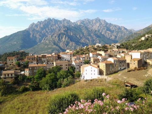 Maison de village - Location saisonnière - Moltifao