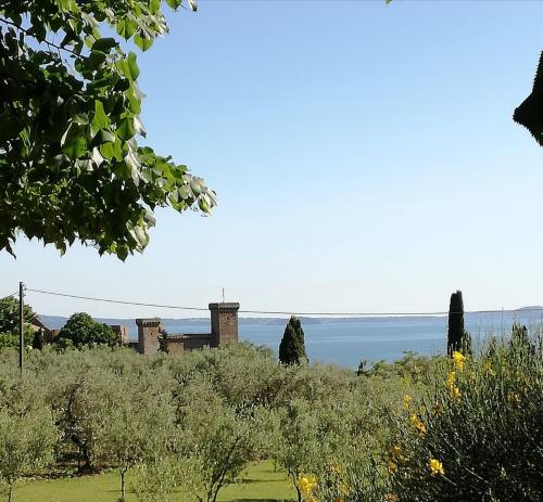  La nuova Velzna in Bolsena