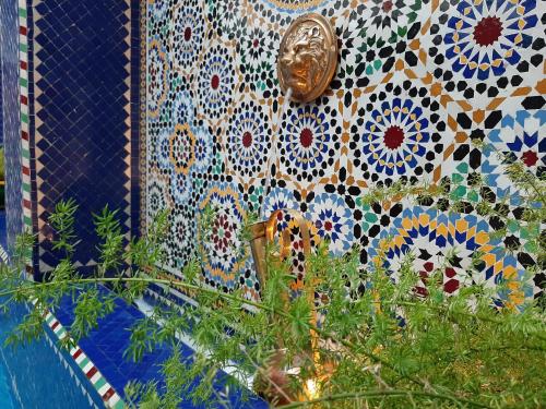 Riad La Porte des 5 Jardins - image 8