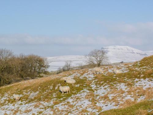 Croft Cottage - image 7