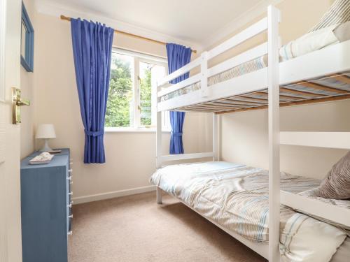 Deja Blue - image 13