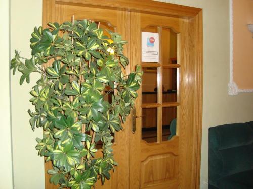 Hostal Universal