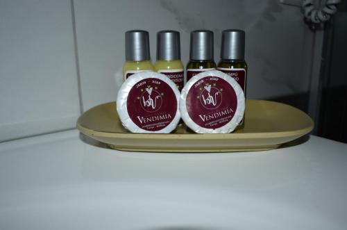 Hotel Boutique Vendimia in Tarija