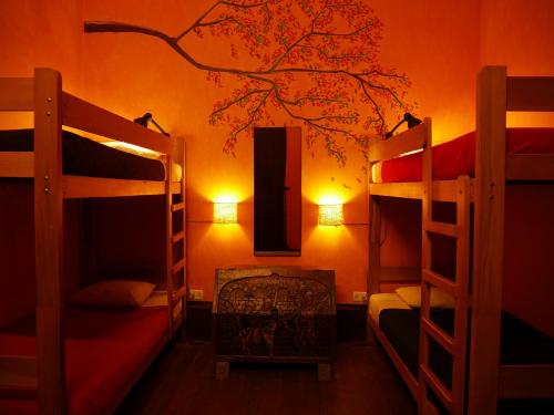 KACLLA Urban Lodge - The Healing Dog Experience - image 2