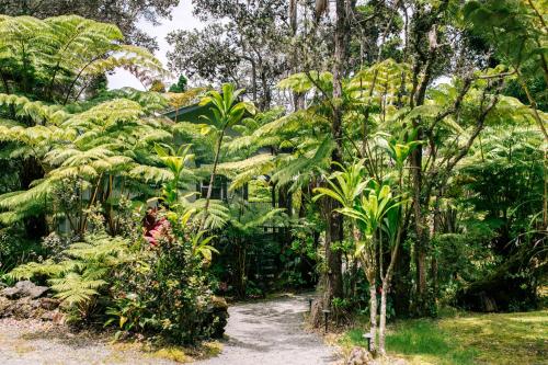 Kilauea Lodge and Restaurant