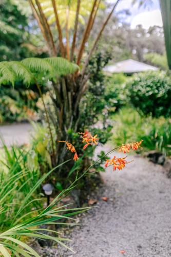 Kilauea Lodge and Restaurant