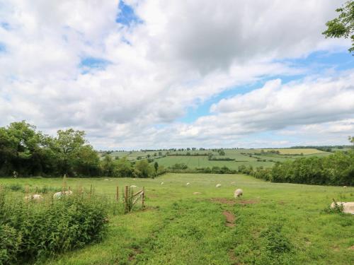 Wren Cottage - image 8
