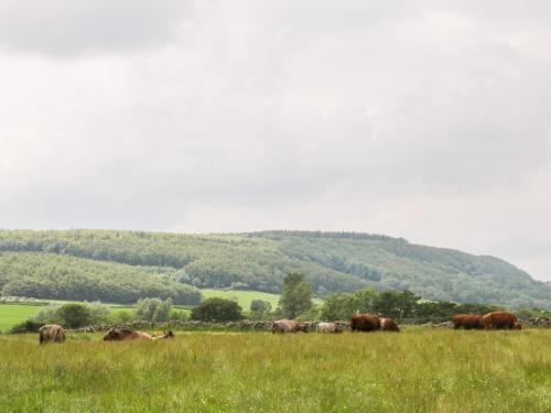 Thirley Beck Lodge - image 8
