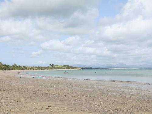 Yr Wyddfa a Defaid - image 9