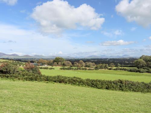 Yr Wyddfa a Defaid - image 12