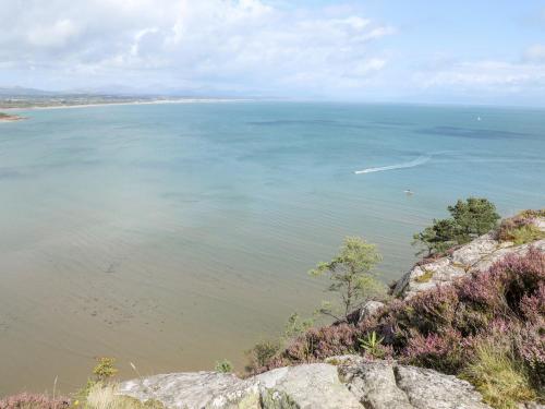 Yr Wyddfa a Defaid - image 10