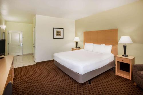 1 twin bed