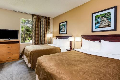 Queen Suite with Two Queen Beds and Sofa Bed - Non Smoking