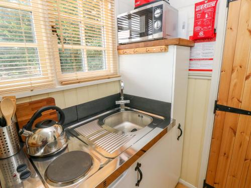 Shepherds Hut - The Hurdle in Rosemarket