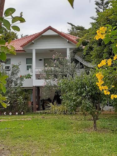 Serene Garden Home Serene Garden Home