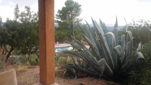 Les Grands Agaves chambre d'hôte Vérignon