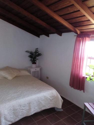 Casa las tres Palmeras