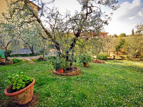  Apartment Matteuzzi by Interhome in Mercatale Val Di Pesa