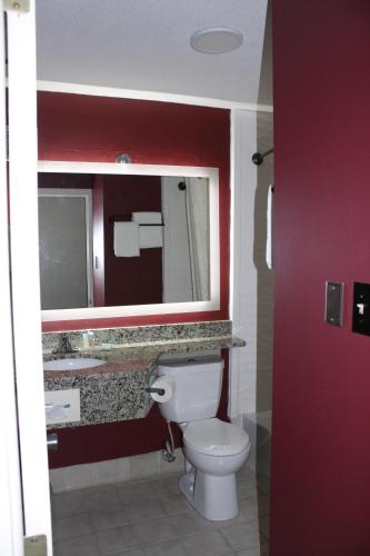 AmericInn by Wyndham International Falls - image 6
