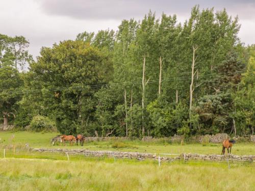 Thirley Beck Lodge - image 4