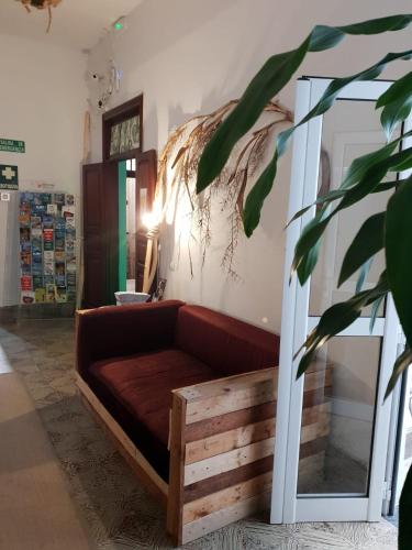 Cactus Host - image 9