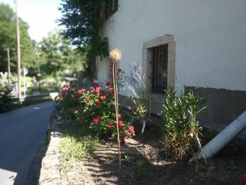 Annel's Liebelei in Radebeul, Deutschland