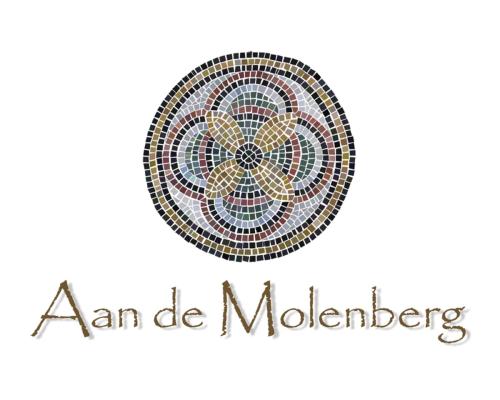 Aan de Molenberg - image 6