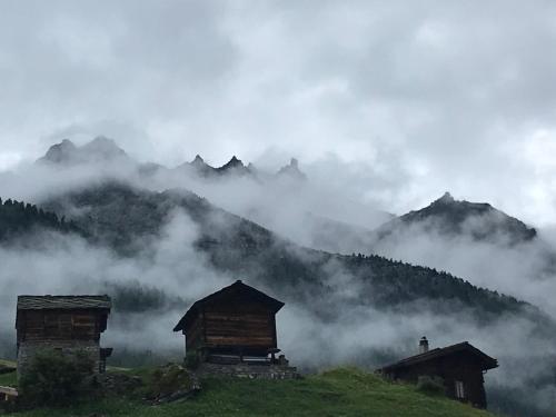  Aletschblick in Grächen
