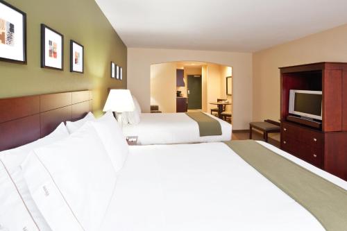 Holiday Inn Express Hotel & Suites Athens