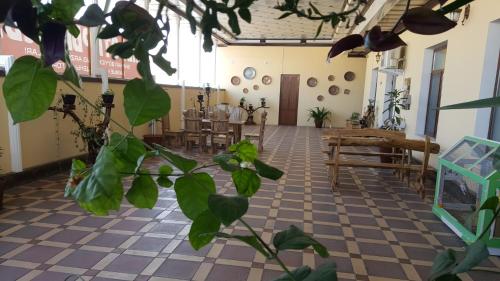 Rohat Hotel in Kokand