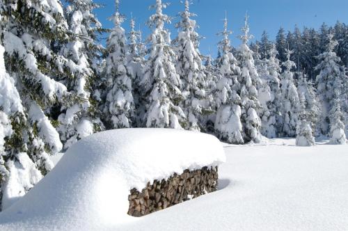 Gastehaus Familie Grudl in Barnkopf