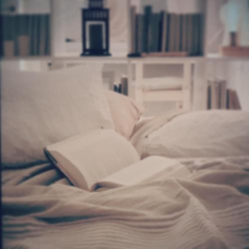  The Booklovers Nest in Athen