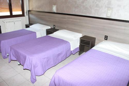 Hotel Salus - main image