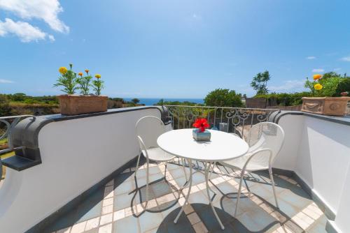 Sorgeto Garden - Accommodation - Ischia