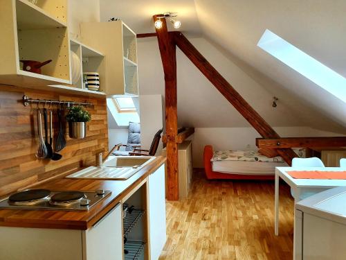 B&B Vila Teslova, Ljubljana (photo 7)