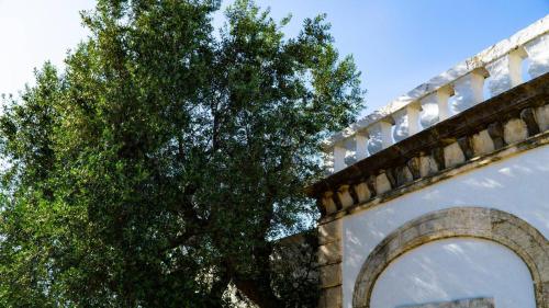 Casa Vacanze Cappuccio - image 12