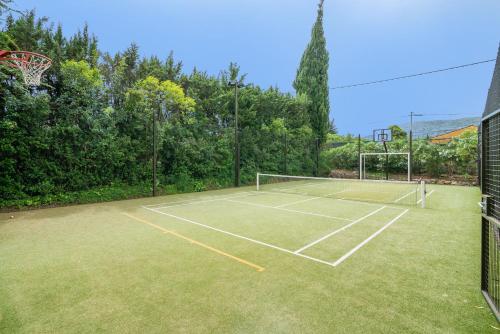 VILLA TIMAUTINE Cannes - Location, gîte - Peymeinade