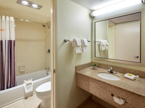Suite image 2