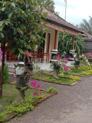 House market in Sidemen