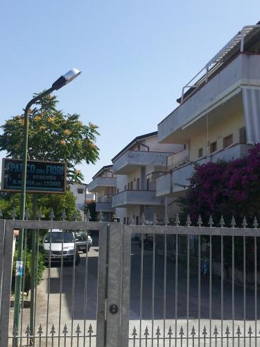 Camere da Franco - Apartment - Santa Maria del Cedro