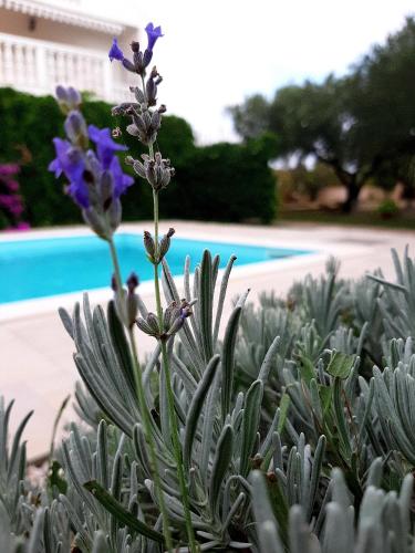 Holiday Home Villa Emma