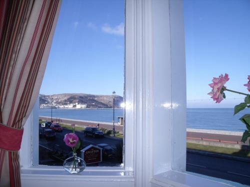 Britannia Guest House - image 13