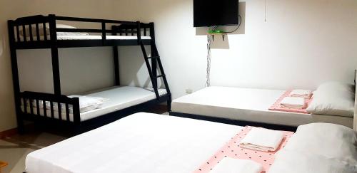 Amelia Homestay - image 4