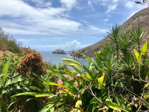 Villa Figues et Mangos in แตเร่ เดอ โอ