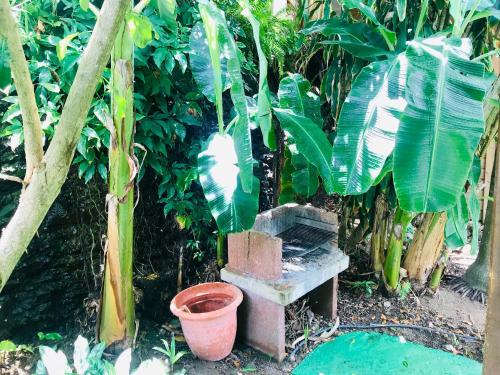 Villa Figues et Mangos in แตเร่ เดอ โอ