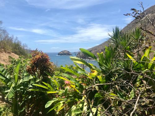 Villa Figues et Mangos in แตเร่ เดอ โอ